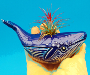 31 Majestic Whale Gifts That Are Perfect For Anyone Obsessed With Whales