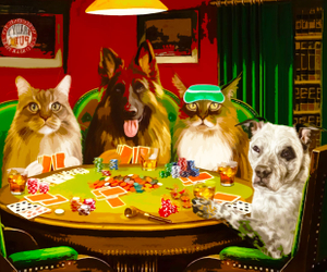 34 Winning Gifts For Poker Players Guaranteed To Up The Ante