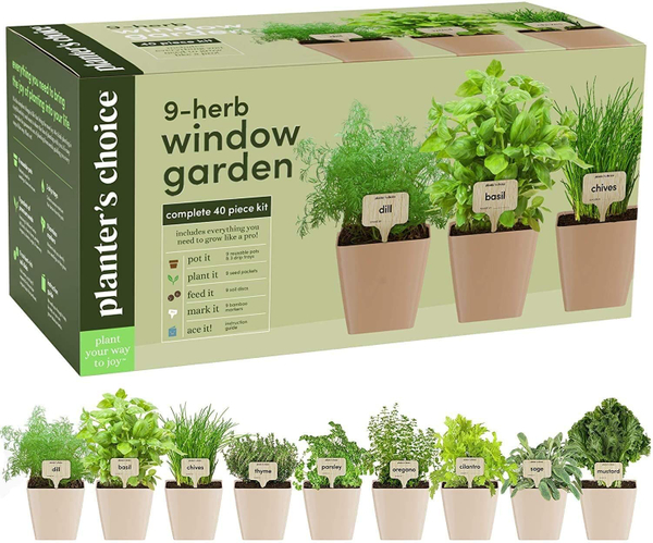 Indoor Herb Starter Set