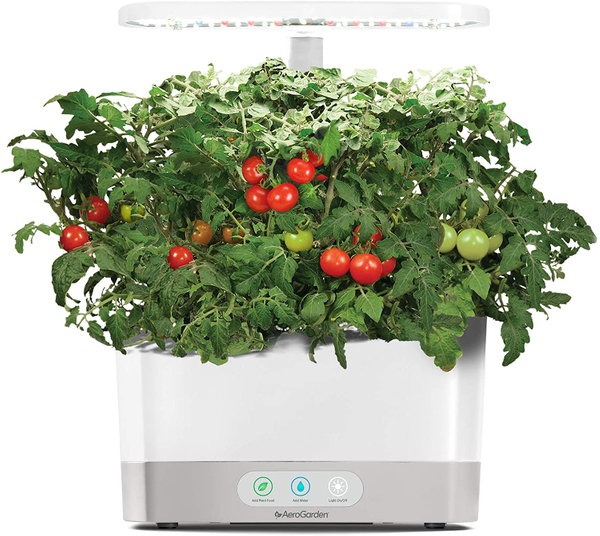 Indoor Herb & Veggie Garden  System