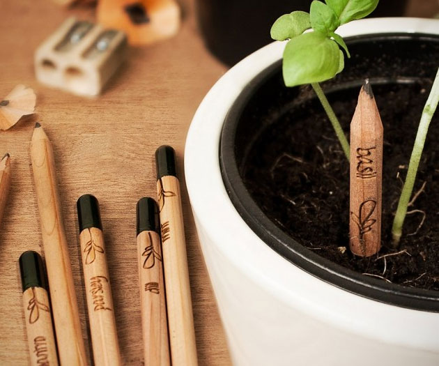 Sprout Plantable Pencils