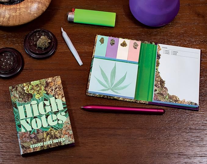 High Notes Mary Jane Funny Sticky Notes Booklet
