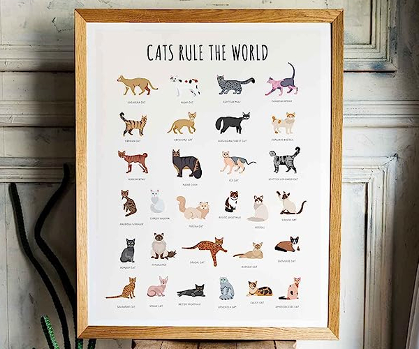 Cats Rule the World Print