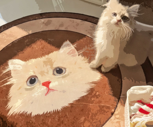 33 Purr-fect Cat Decor Pieces That Are The Cat's Pajamas
