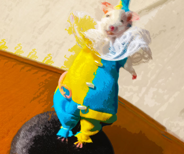 53 WTF-Worthy Taxidermy Mice That Exist For Reasons We Can't Explain