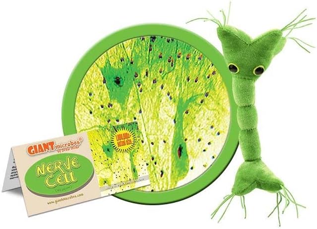 Nerve Cell Plush Toy