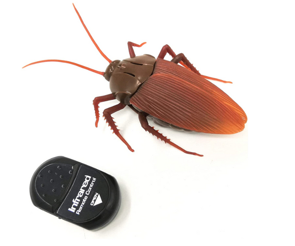 Remote Control Roach