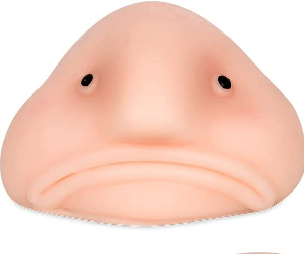 Sunny The Blobfish