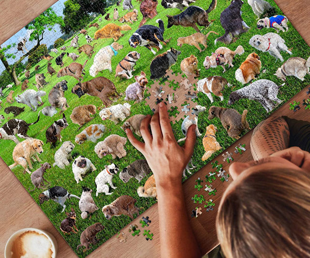 101 Pooping Puppies Puzzle