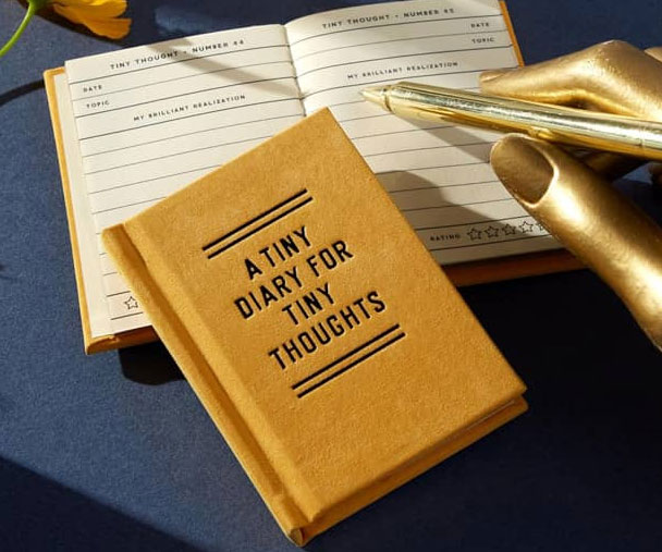 A Tiny Diary for Tiny Thoughts