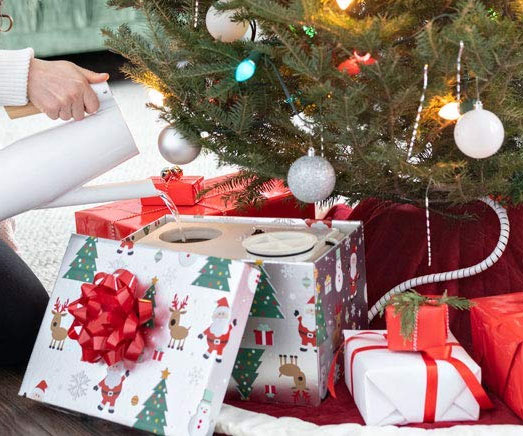 Gift Box Automatic Tree Watering System