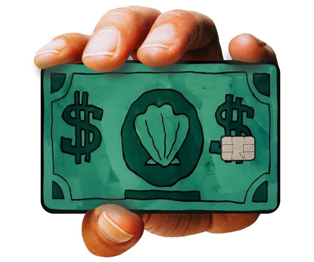 Bikini Buck Credit Card Sticker Cover