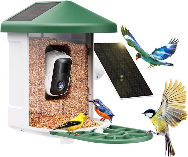 AI Identify Species Bird Feeder