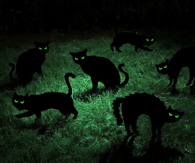 Black Cat Halloween Yard Decor