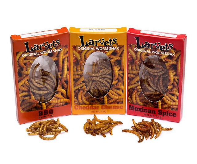 Flavored Larvae Samplers