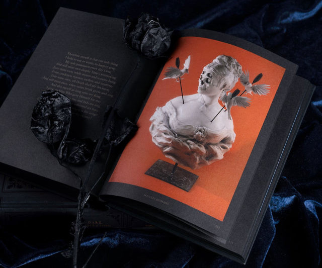 Dark Inspiration: Grotesque Illustrations