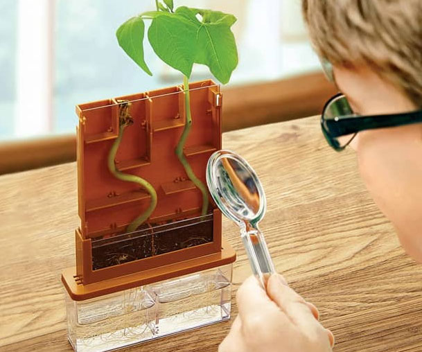 Plant Maze Science Kit