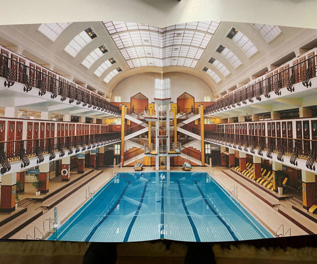 Accidentally Wes Anderson Book