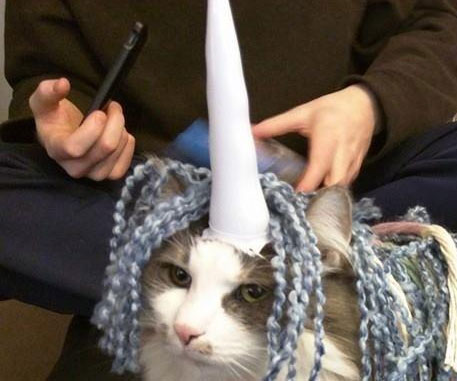 Inflatable Unicorn Horn For Cats