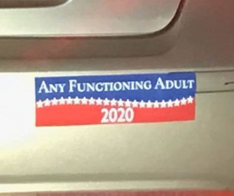 Any Functioning Adult Bumper Sticker