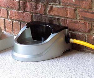 Auto Refilling Dog Bowl