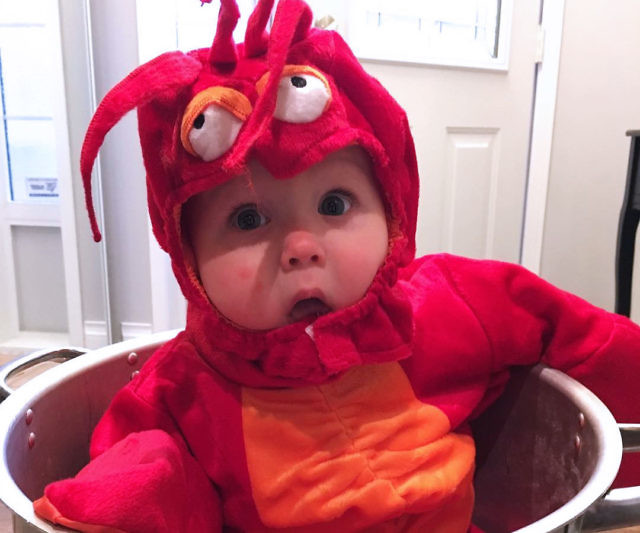 Baby Lobster Costume