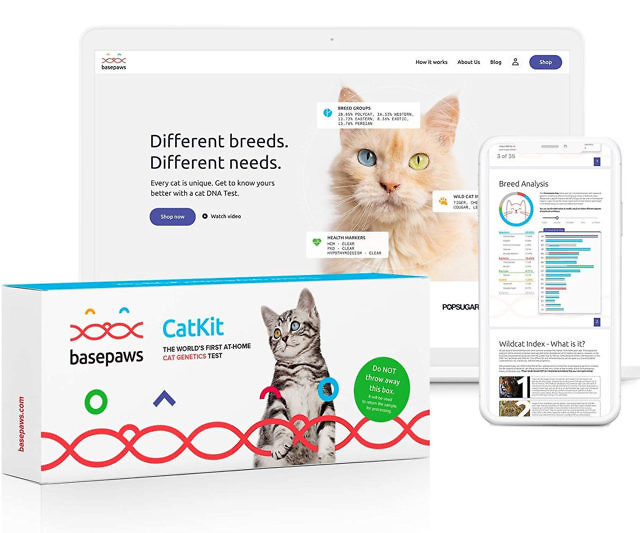 Basepaws Cat DNA Test Kit