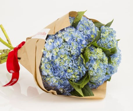 Flowers Of The Month Subscription Box