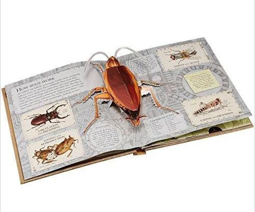 The Pop-up Book Of Bugs