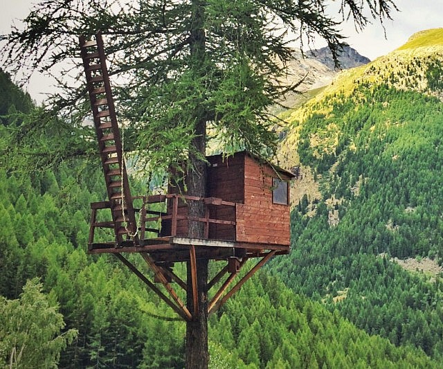 Cabin Porn Book