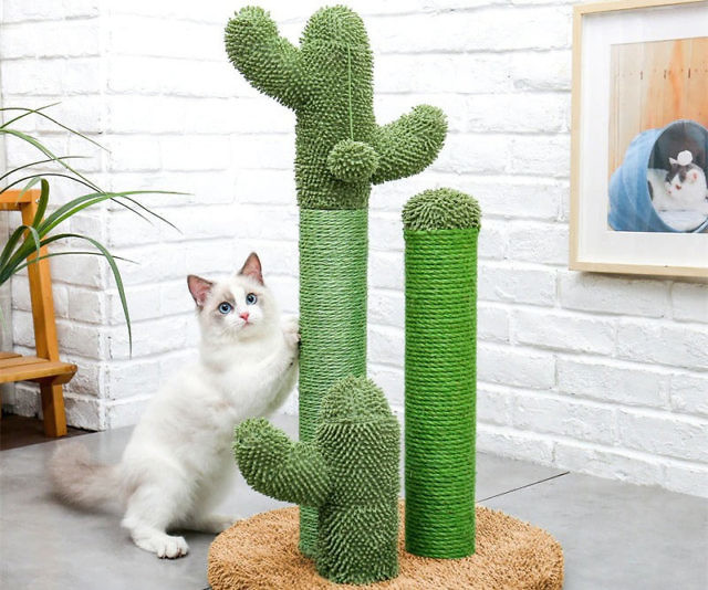 Cactus Cat Scratch Post