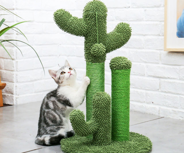 Cactus Cat Scratch Post