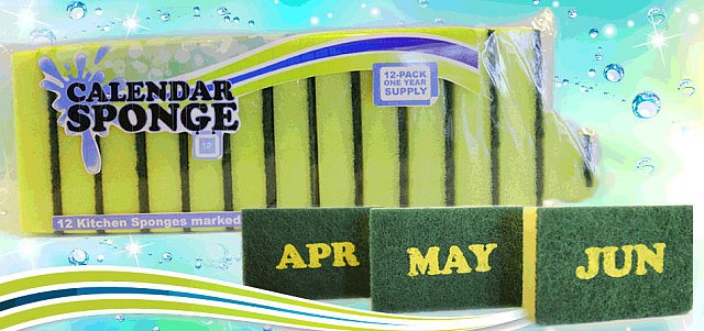 Calendar Sponge