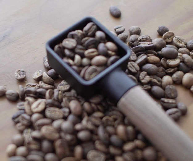 Cast Iron Coffee Scoop