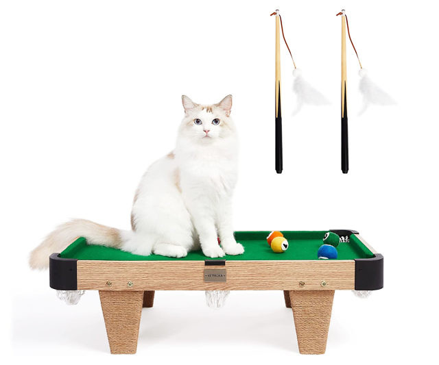 Cat Billiards Table