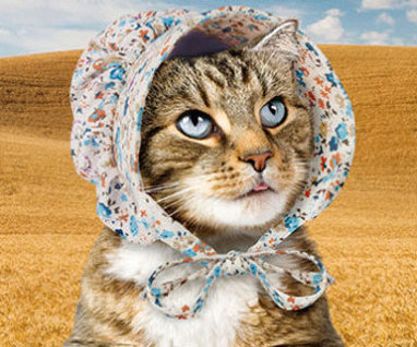 Bonnets For Cats