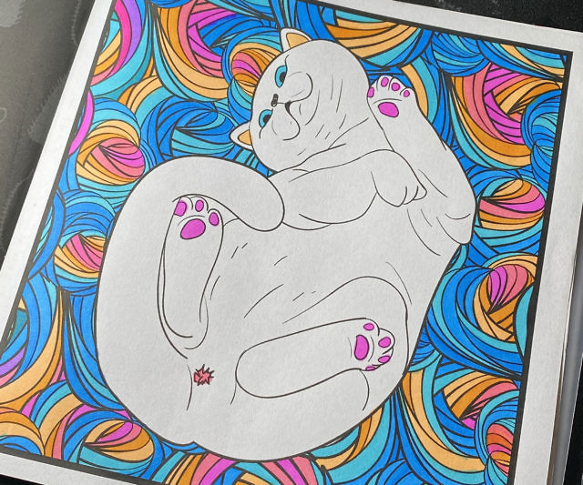 Cat Butt Coloring Book