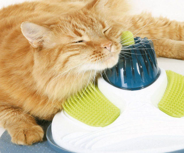 Cat Face Massager