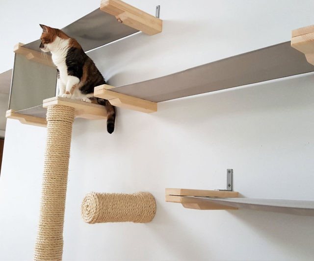 Cat Hammock Activity Center