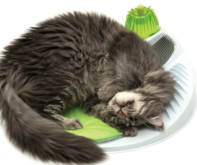 Cat Face Massager