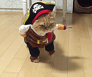 Cat Pirate Costume