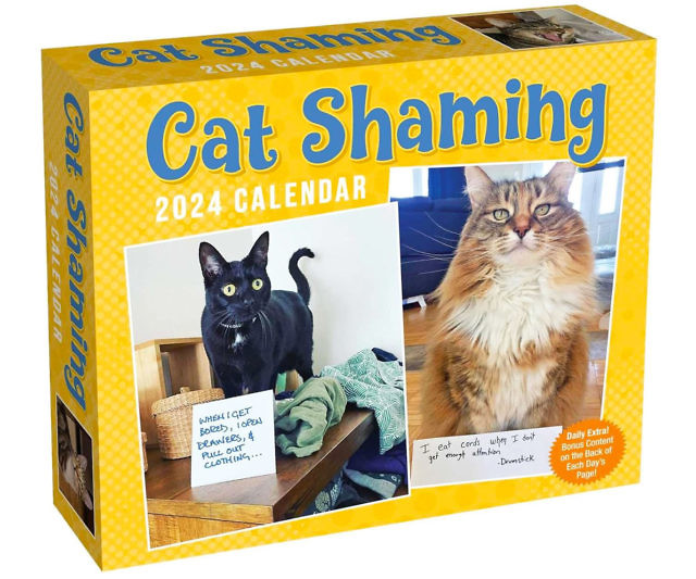Cat Shaming Calendar