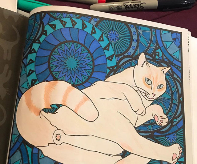 Cat Butt Coloring Book