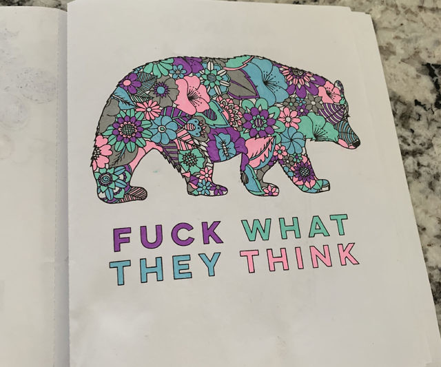 Cheer The F*ck Up Coloring Book