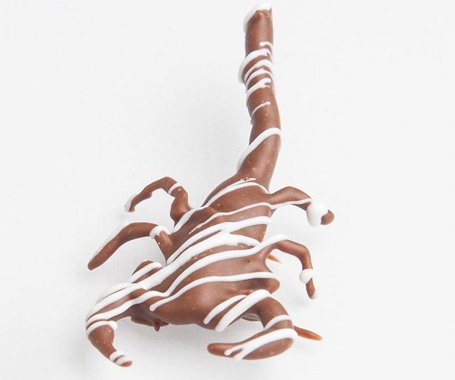 Chocolate Covered Scorpion