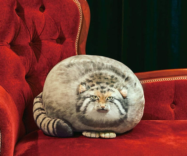 Chonker Cat Plush Pillow