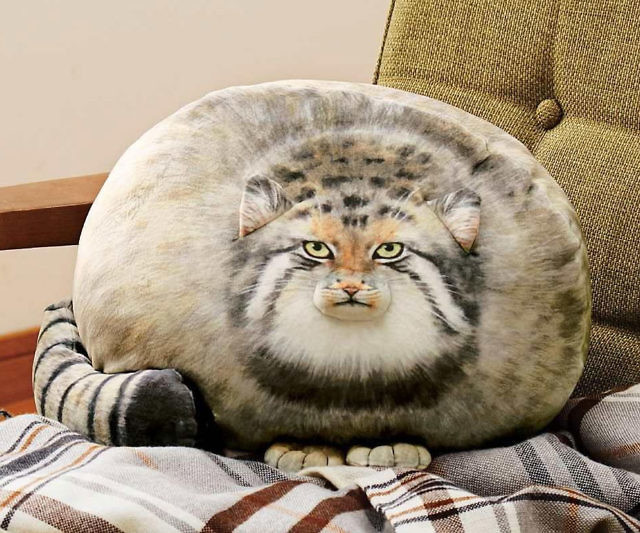 Chonker Cat Plush Pillow
