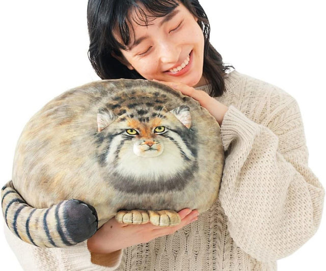 Chonker Cat Plush Pillow