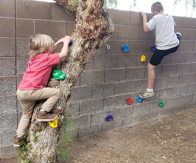 Tree Climbing Holds For Kids