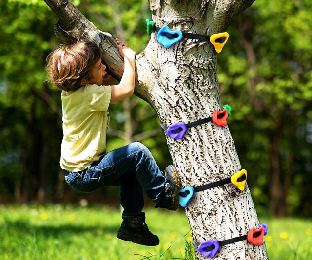 Tree Climbing Holds For Kids